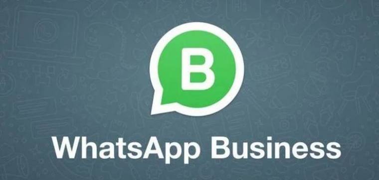 WhatsApp Business APK 1