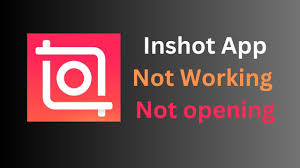 Common Troubleshooting With InShot Pro MOD APK