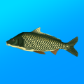 True Fishing v1.16.4.820 MOD APK (Unlimited Money)