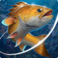 Fishing Hook 2.5.2 Mod APK (Unlimited money, gems) Download